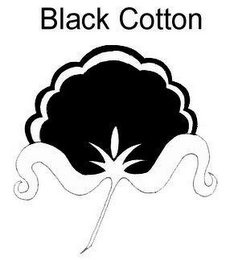 BLACK COTTON logo