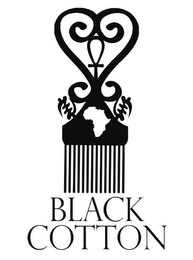 BLACK COTTON logo