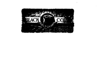 BLACK COW TAP & GRILL logo