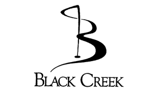 BLACK CREEK logo