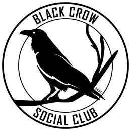 BLACK CROW SOCIAL CLUB B.C.S.C. logo
