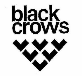 BLACK CROWS logo