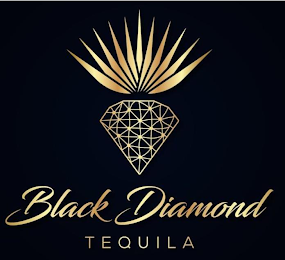 BLACK DIAMOND logo