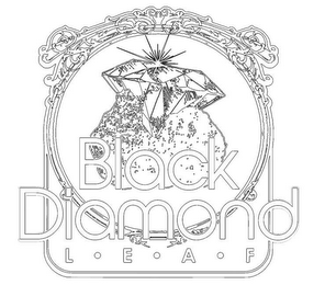 BLACK DIAMOND LEAF logo