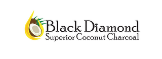BLACK DIAMOND SUPERIOR COCONUT CHARCOAL logo