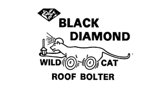 BLACK DIAMOND WILD CAT ROOF BOLTER logo