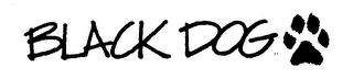 BLACK DOG logo