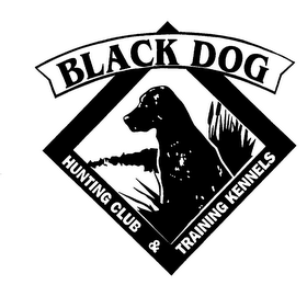 BLACK DOG HUNTING CLUB & TRAINING KENNELS logo