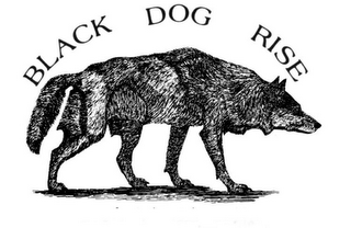 BLACK DOG RISE logo
