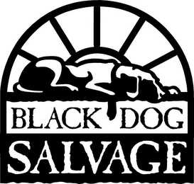 BLACK DOG SALVAGE logo