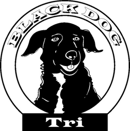 BLACK DOG TRI logo