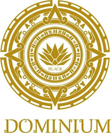 BLACK DOMINIUM logo