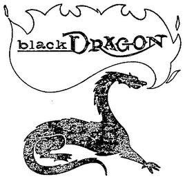 BLACK DRAGON logo