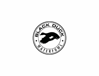 BLACK DUCK WATERFOWL logo