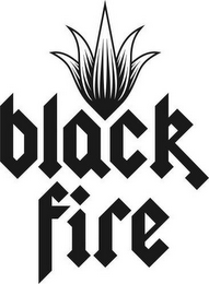 BLACK FIRE logo