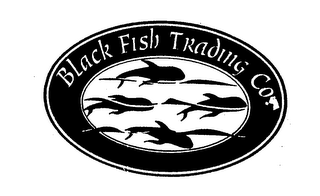 BLACK FISH TRADING CO. logo