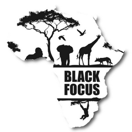 BLACK FOCUS logo