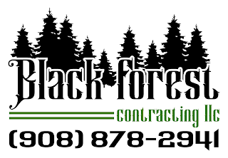 BLACK FOREST CONTRACTING LLC (908) 878-2941 logo