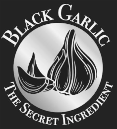 BLACK GARLIC THE SECRET INGREDIENT logo