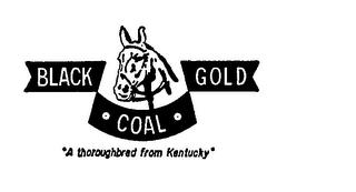 BLACK GOLD COAL A THOROUGHBRED FROM KENTUCKY logo