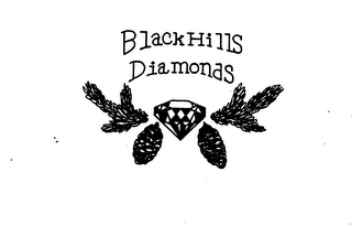 BLACK HILLS DIAMONDS logo