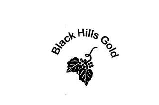 BLACK HILLS GOLD logo