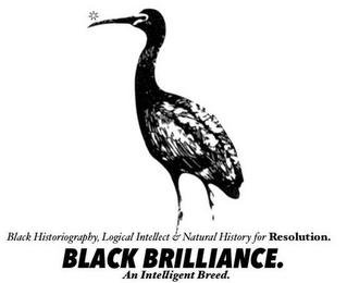 BLACK HISTORIOGRAPHY, LOGICAL INTELLECT & NATURAL HISTORY FOR RESOLUTION. BLACK BRILLIANCE. AN INTELLIGENT BREED. logo
