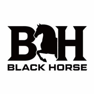 BLACK HORSE logo
