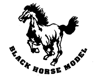 BLACK HORSE MODEL logo