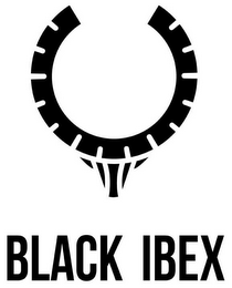 BLACK IBEX logo