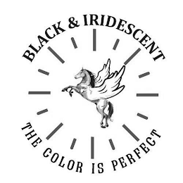 BLACK & IRIDESCENT - THE COLOR IS PERFECT logo