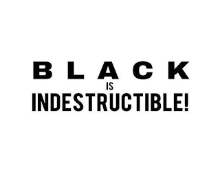 BLACK IS INDESTRUCTIBLE! logo