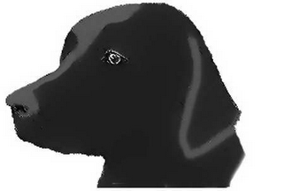 BLACK LAB logo
