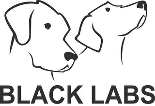 BLACK LABS logo