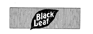 BLACK LEAF logo