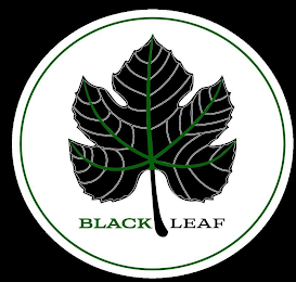 BLACK LEAF logo