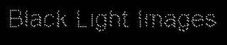 BLACK LIGHT IMAGES logo