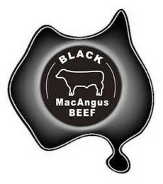 BLACK MACANGUS BEEF logo