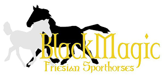 BLACK MAGIC FRIESIAN SPORTHORSES logo