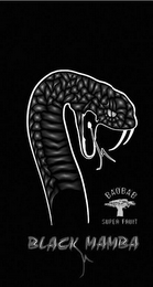 BLACK MAMBA BAOBAB SUPER FRUIT logo