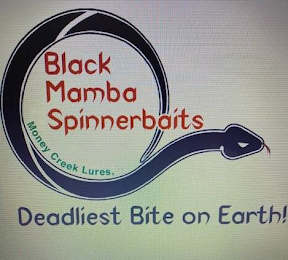 BLACK MAMBA SPINNERBAITS MONEY CREEK LURES, DEADLIEST BITE ON EARTH! logo