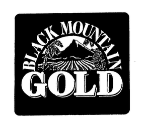 BLACK MOUNTAIN GOLD logo