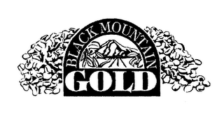 BLACK MOUNTAIN GOLD logo
