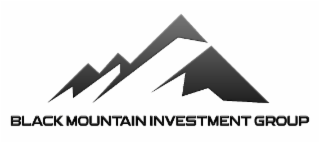BLACK MOUNTAIN INVESTMENT GROUP logo