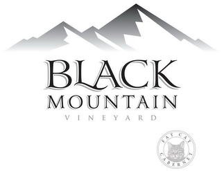 BLACK MOUNTAIN VINEYARD FAT CAT CABERNET logo