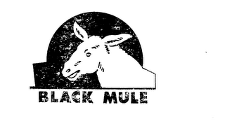 BLACK MULE logo