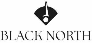 BLACK NORTH logo