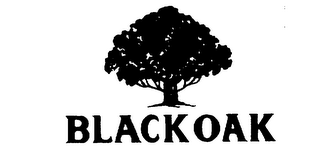 BLACK OAK logo