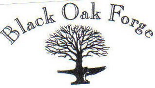 BLACK OAK FORGE logo