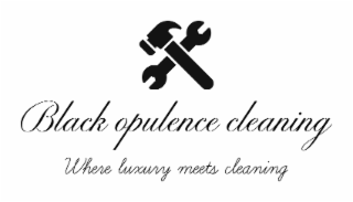 BLACK OPULENCE CLEANING WHERE LUXURY MEETS CLEANING logo